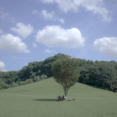 竞彩足球APP官方下载